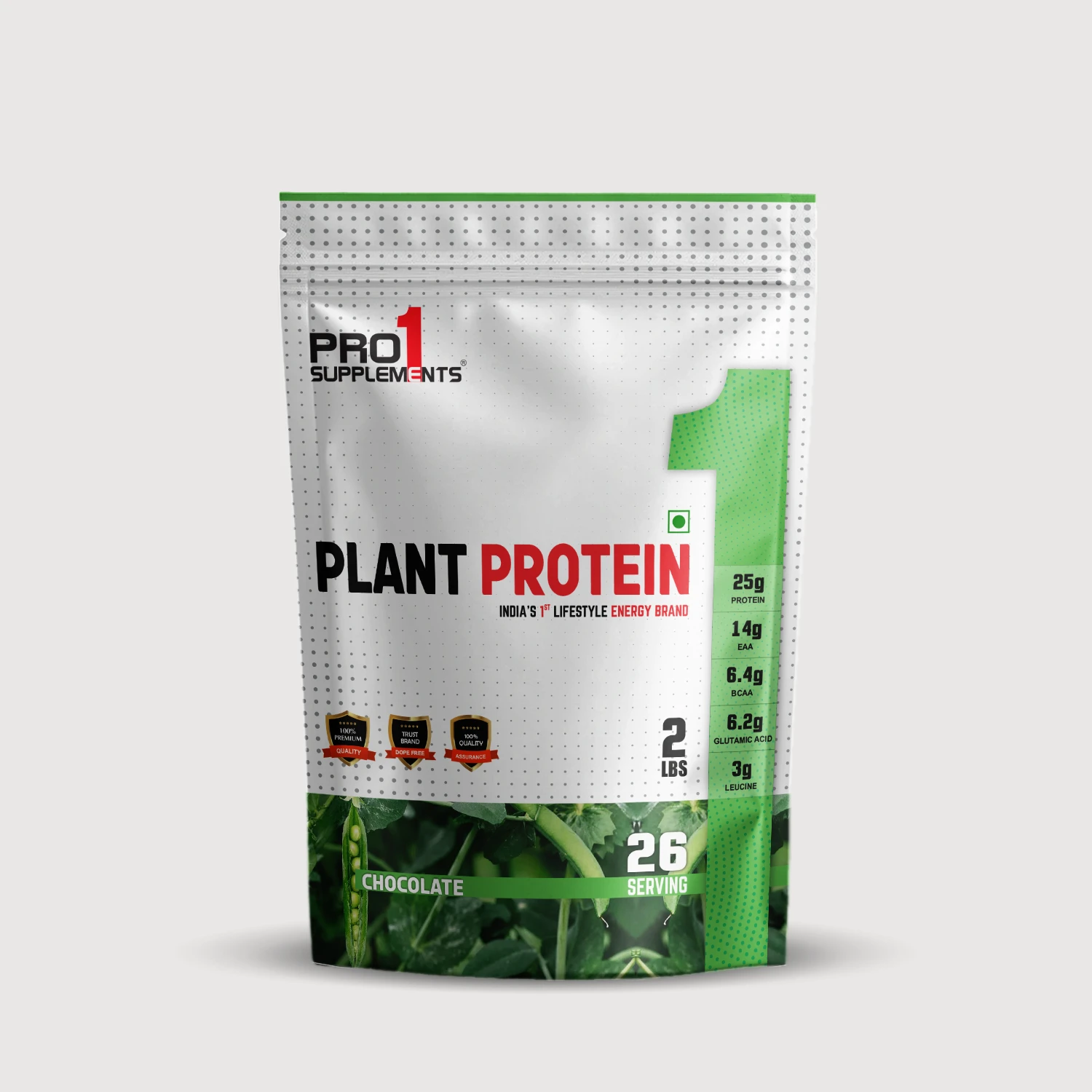 Plant Protein – Chocolate 2lbs